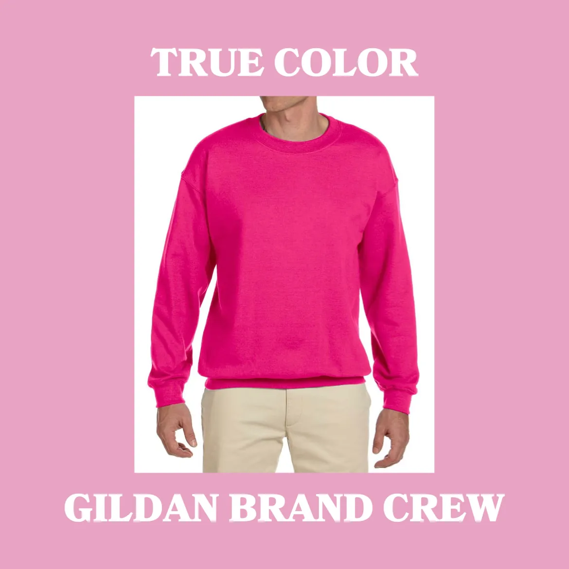 Daylight Sweatshirt