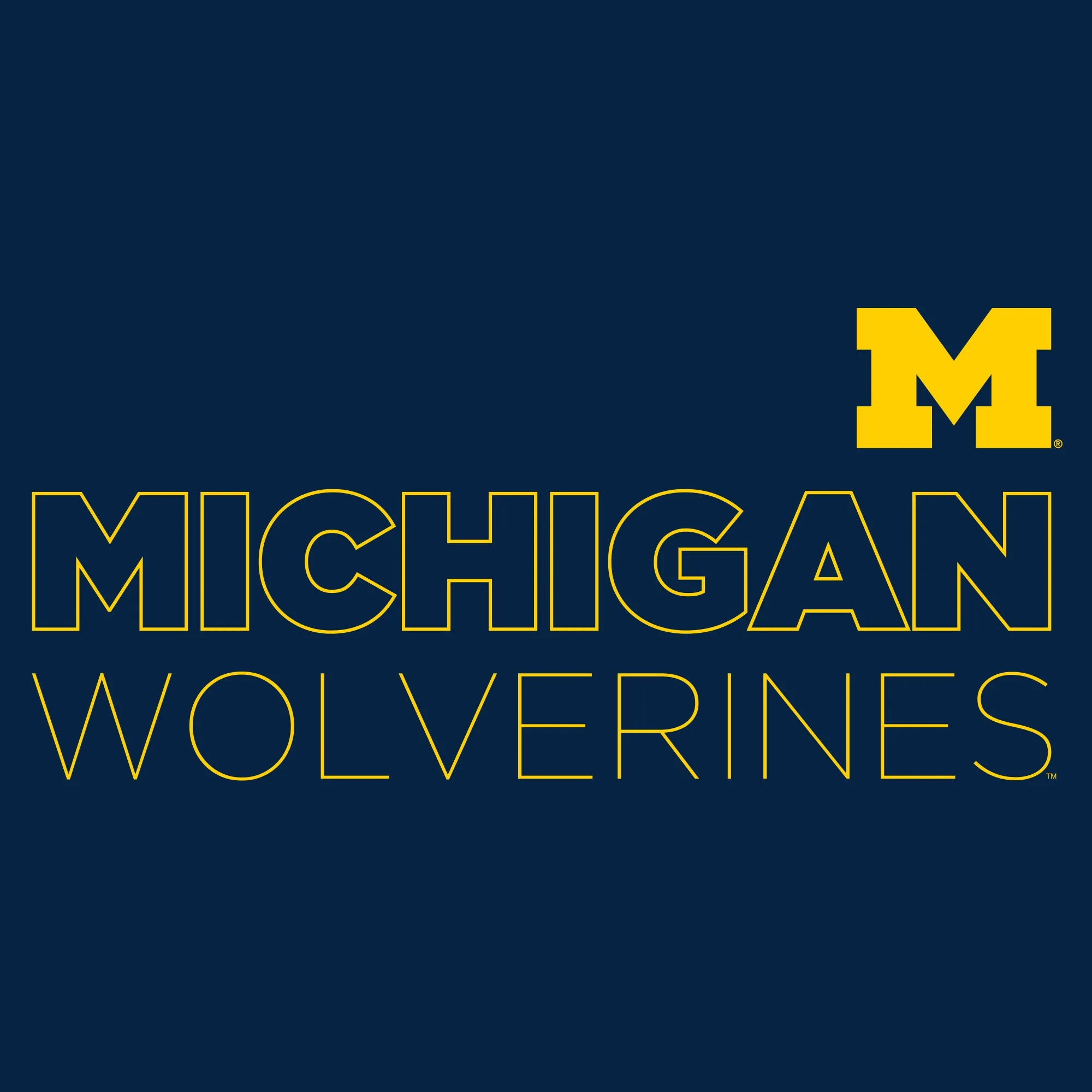 Modern Outline University of Michigan Heavy Blend Crewneck Sweatshirt - Navy