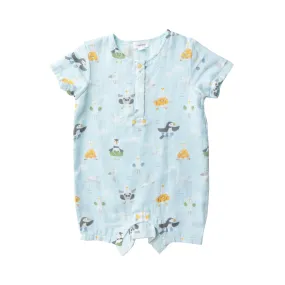 Shorebirds Henley Shortall
